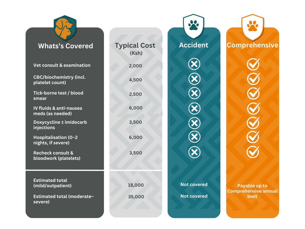 PawSafi Comprehensive Scenario 2