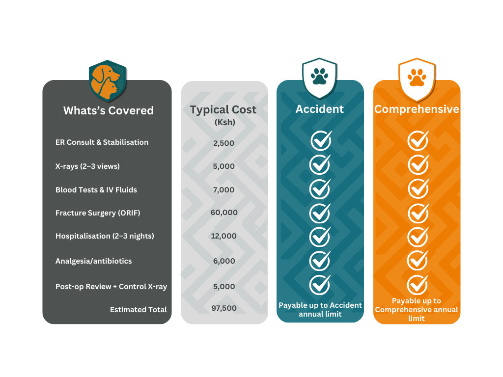 PawSafi Policy Scenario 1